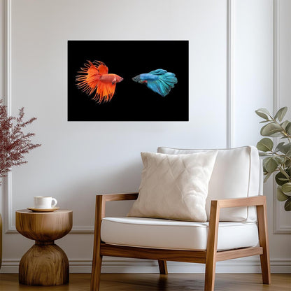 Siamese Fighting Fish (Betta) | Underwater Photography | Aquatic Art Poster - Photography Poster