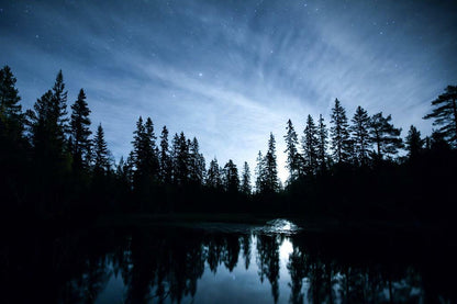 Illuminated by the Moon | Night Landscape Photography | Mystical Nature Poster - Photography Poster