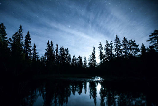 Illuminated by the Moon | Night Landscape Photography | Mystical Nature Poster - Photography Poster