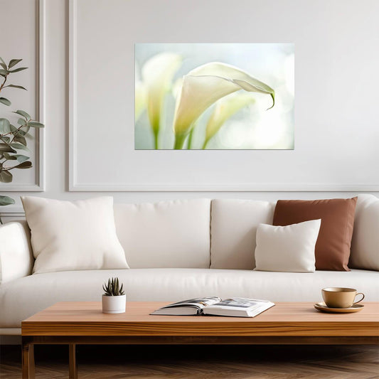 White Calla Lilies | Floral Photography Print | Botanical Wall Art Poster - Photography Poster