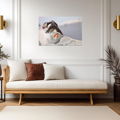 Atlantic Puffin Leaping from a Cliff | Bird Photography | Wildlife Poster - Photography Poster