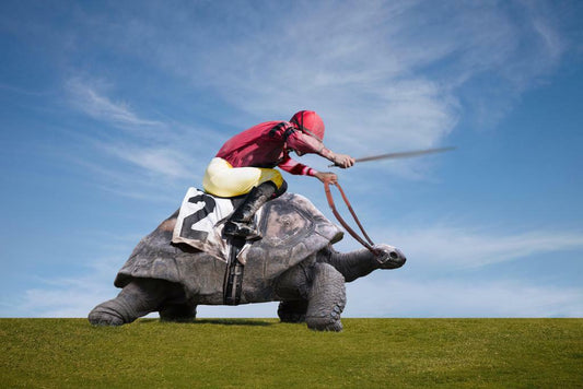 Jockey Riding On a Turtle | Surreal Sports Art Print | Funny Animal Poster - Sports Poster