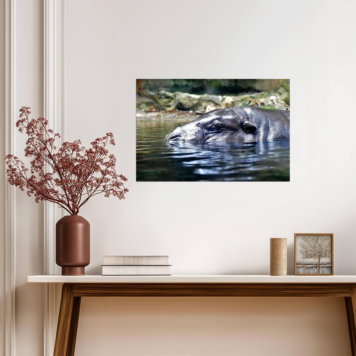 Hippopotamus in the Water | African Wildlife Photography | Animal Poster - Photography Poster