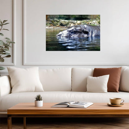 Hippopotamus in the Water | African Wildlife Photography | Animal Poster - Photography Poster