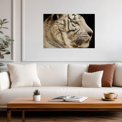 White Tiger Close Up | Wildlife Photography Portrait | Animal Poster - Photography Poster