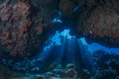 Sea Cave with God Rays | Coastal Landscape Photography | Nature Poster - Photography Poster