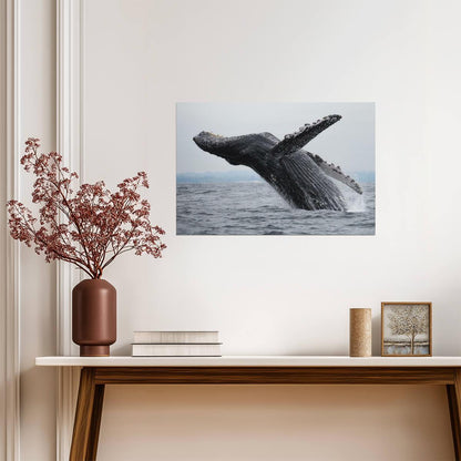 Humpback Whale Breaching | Ocean Wildlife Photography | Marine Life Poster - Photography Poster