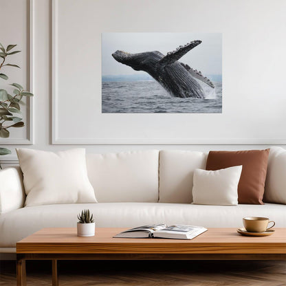 Humpback Whale Breaching | Ocean Wildlife Photography | Marine Life Poster - Photography Poster