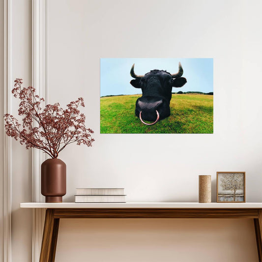 Closeup of a Bull's Head | Farm Animal Photography | Bull Poster - Photography Poster