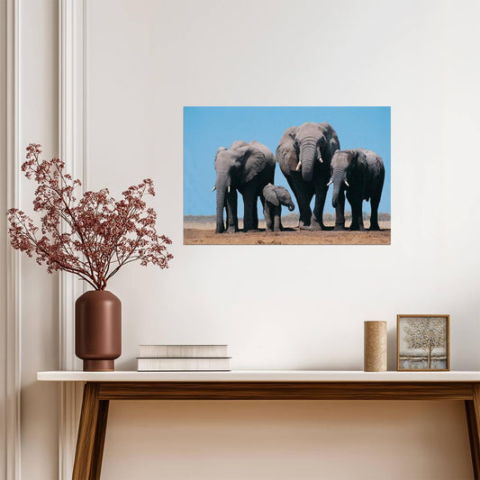 African Elephants and Calf | Wildlife Photography | Safari Animal Poster - Photography Poster
