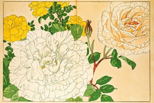 Japanese Woodblock Roses | Floral Art Print | Ukiyo-e Style Botanical Poster
