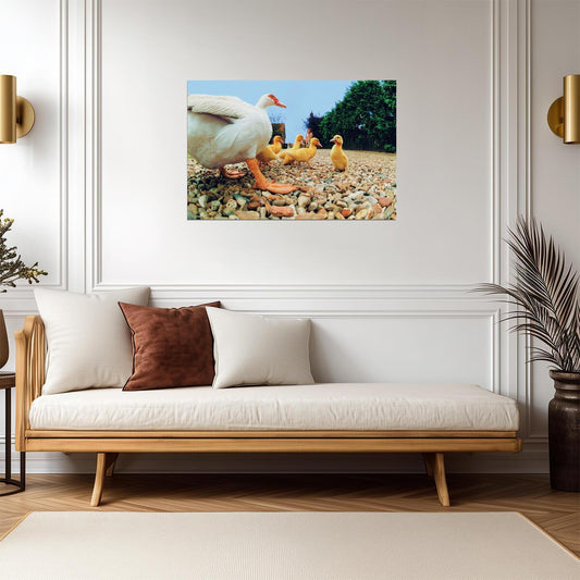 Duck With Ducklings | Bird Photography Print | Cute Animal Family Poster - Photography Poster