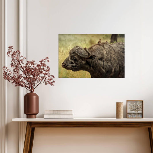 African Buffalo in the Wild | Wildlife Photography | Safari Animal Poster - Photography Poster