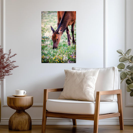 Grazing Elk in Rocky Mountain National Park | Wildlife Photography Poster - Photography Poster
