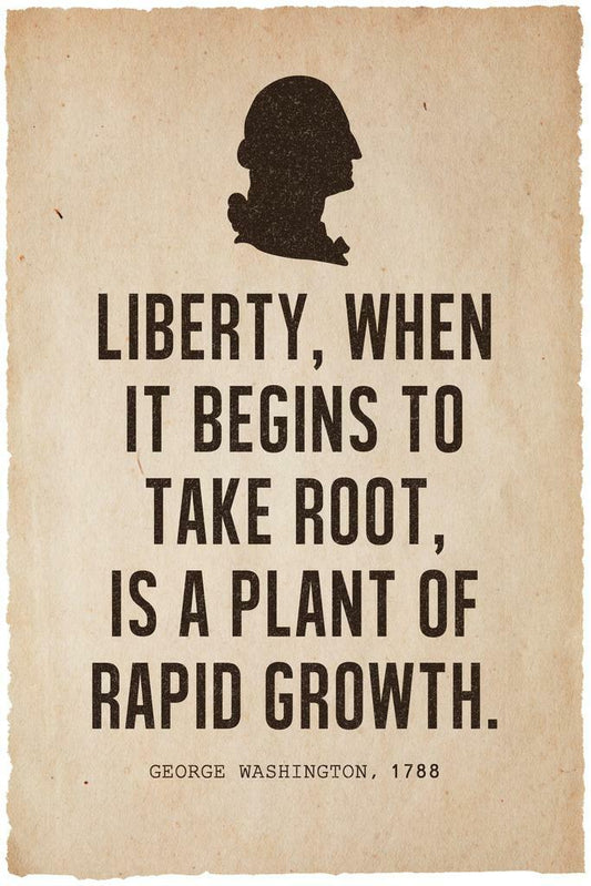 George Washington Liberty Quote Silhouette | Presidential Wall Art | American History Poster - Type & Quotes Poster