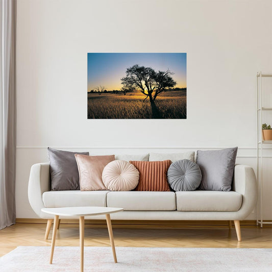 Kalahari Camelthorn Tree Poster | African Sunset Photography | Wildlife Wall Art