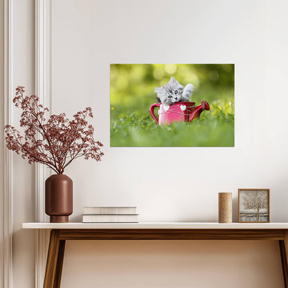Baby Kitten in a Watering Can | Cute Pet Photography | Cat Poster - Photography Poster