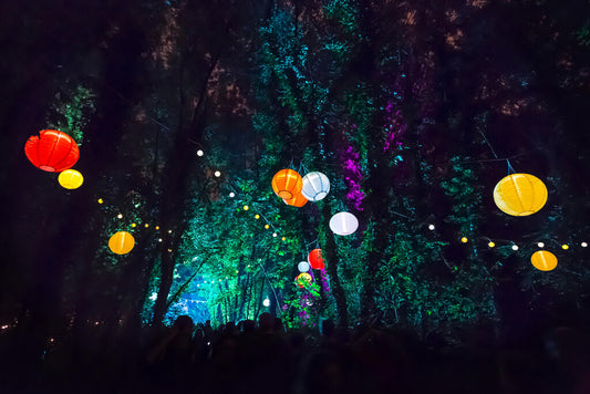 Enchanted Forest Party with Lanterns | Magical Night Photography | Festival Wall Art Poster - Photography Poster