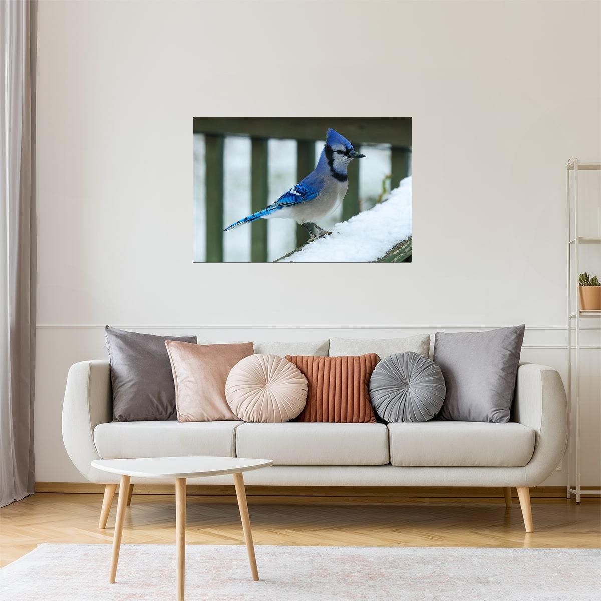 Bluejay in Snow Poster | Winter Bird Photography | Nature Wall Art