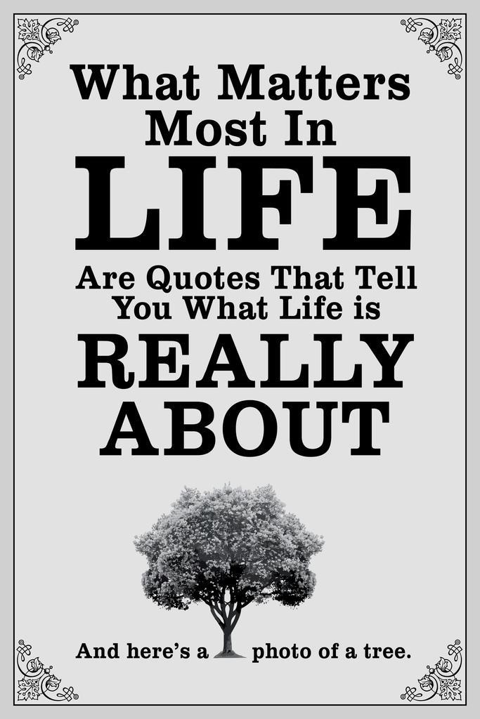 What Matters Most Are Quotes Parody | Funny Anti-Motivational Poster | Sarcastic Humor Wall Art - Type & Quotes Poster