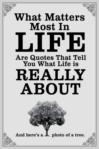 What Matters Most Are Quotes Parody | Funny Anti-Motivational Poster | Sarcastic Humor Wall Art - Type & Quotes Poster