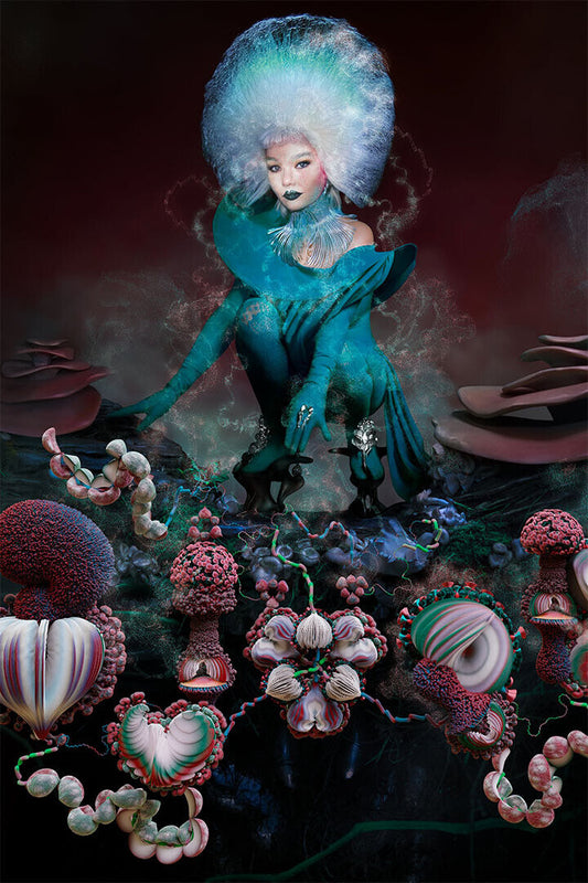 Björk Fossora | Album Cover Poster | Art Pop Wall Art