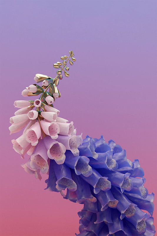 Flume Skin Companion EP II | Album Cover Poster | Electronic Music Wall Art
