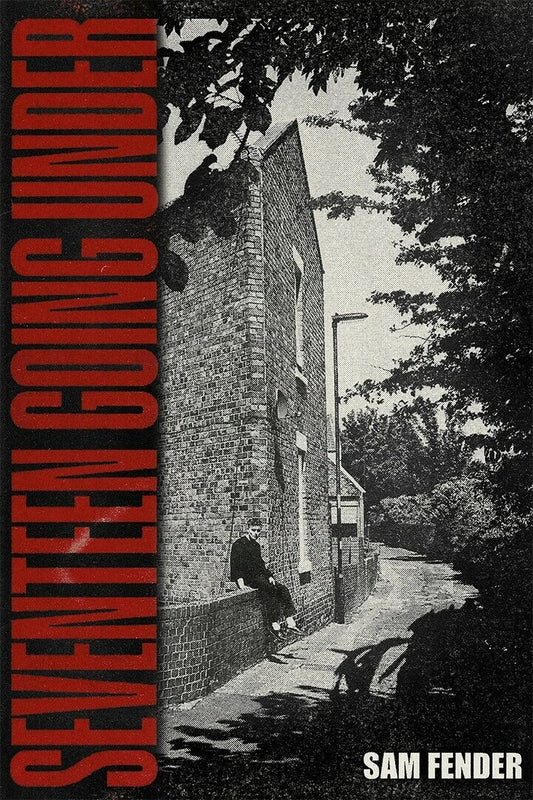 Sam Fender Seventeen Going Under | Album Cover Poster | Indie Rock Wall Art