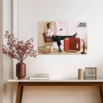 Arlo Parks Collapsed in Sunbeams | Album Cover Poster | Indie Pop Wall Art