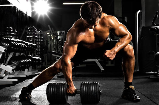Barbell Lunges Workout | Motivational Gym Photography | Bodybuilding Poster - Sports Poster