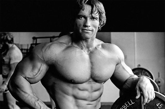 Arnold Schwarzenegger Bodybuilding Portrait | Gym Motivation Art | Fitness Poster - Sports Poster