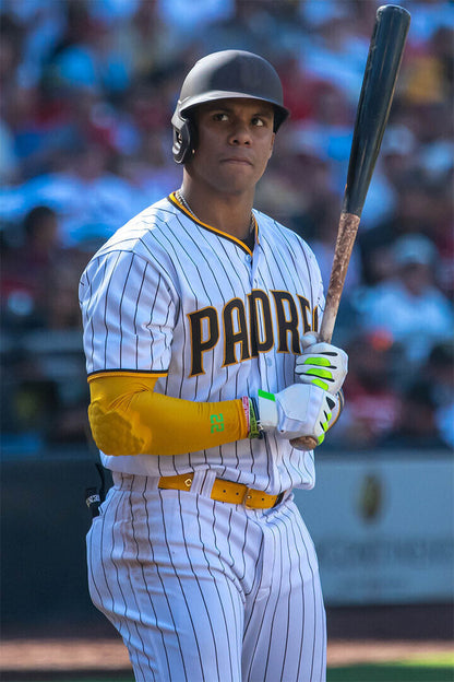 Juan Soto San Diego Padres | At Bat Photo | Baseball Star Poster - Sports Poster