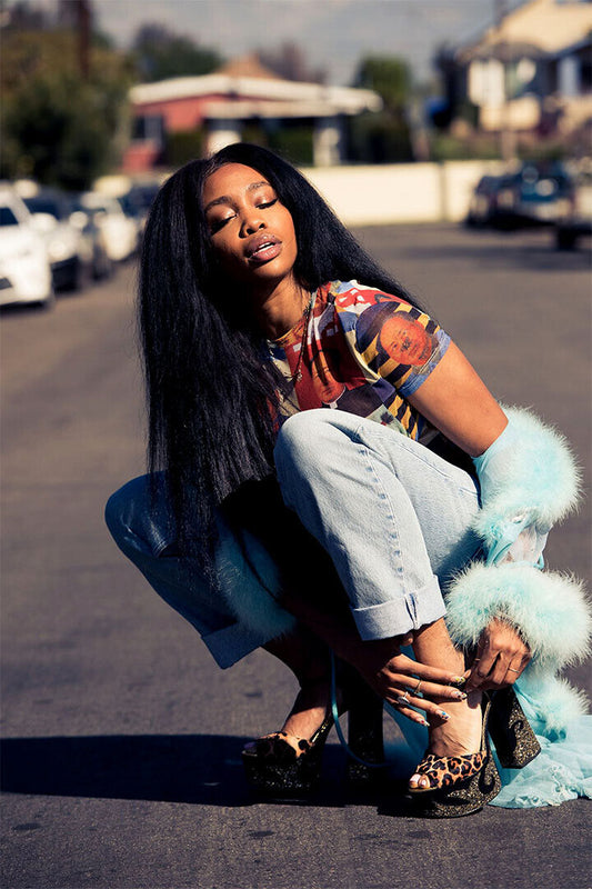 SZA Ctrl Era | Celebrity Poster | R&B Music Wall Art