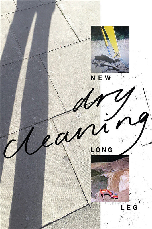 Dry Cleaning New Long Leg | Album Cover Poster | Post-Punk Wall Art