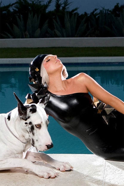 Lady Gaga The Fame | Album Cover Poster | Pop Music Wall Art
