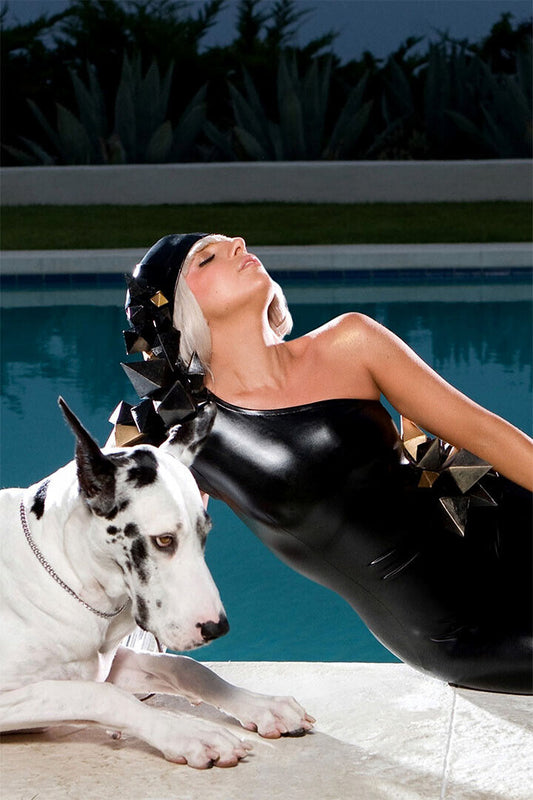 Lady Gaga The Fame | Album Cover Poster | Pop Music Wall Art