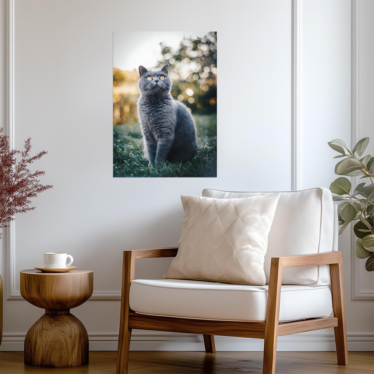 British Shorthair Cat in Grass | Pet Photography Poster | Cute Animal Wall Art - Photography Poster