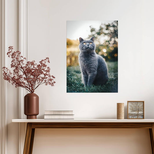 British Shorthair Cat in Grass | Pet Photography Poster | Cute Animal Wall Art - Photography Poster