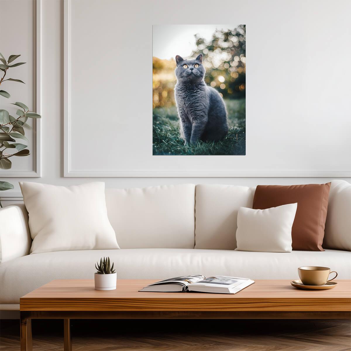 British Shorthair Cat in Grass | Pet Photography Poster | Cute Animal Wall Art - Photography Poster
