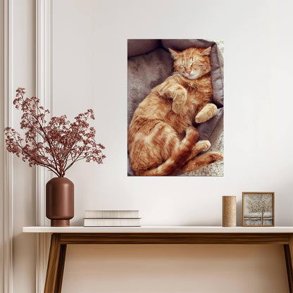 Sleeping Orange Tabby Cat | Cozy Pet Poster | Cute Cat Photography - Photography Poster
