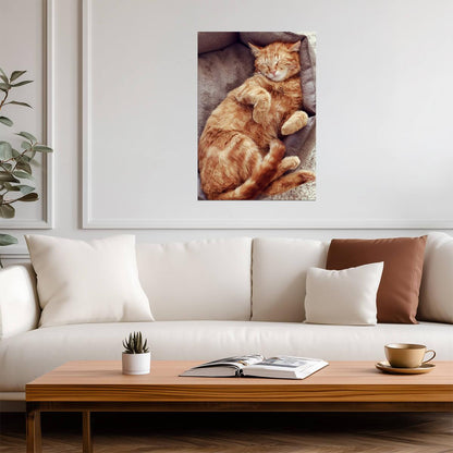 Sleeping Orange Tabby Cat | Cozy Pet Poster | Cute Cat Photography - Photography Poster