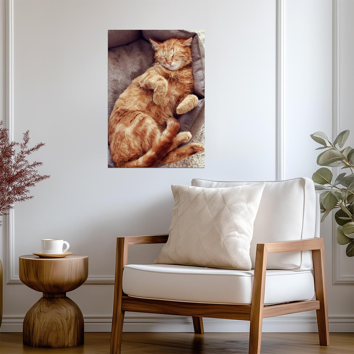 Sleeping Orange Tabby Cat | Cozy Pet Poster | Cute Cat Photography - Photography Poster