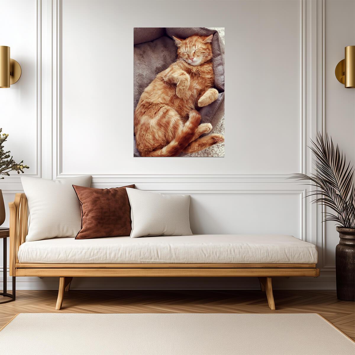 Sleeping Orange Tabby Cat | Cozy Pet Poster | Cute Cat Photography - Photography Poster