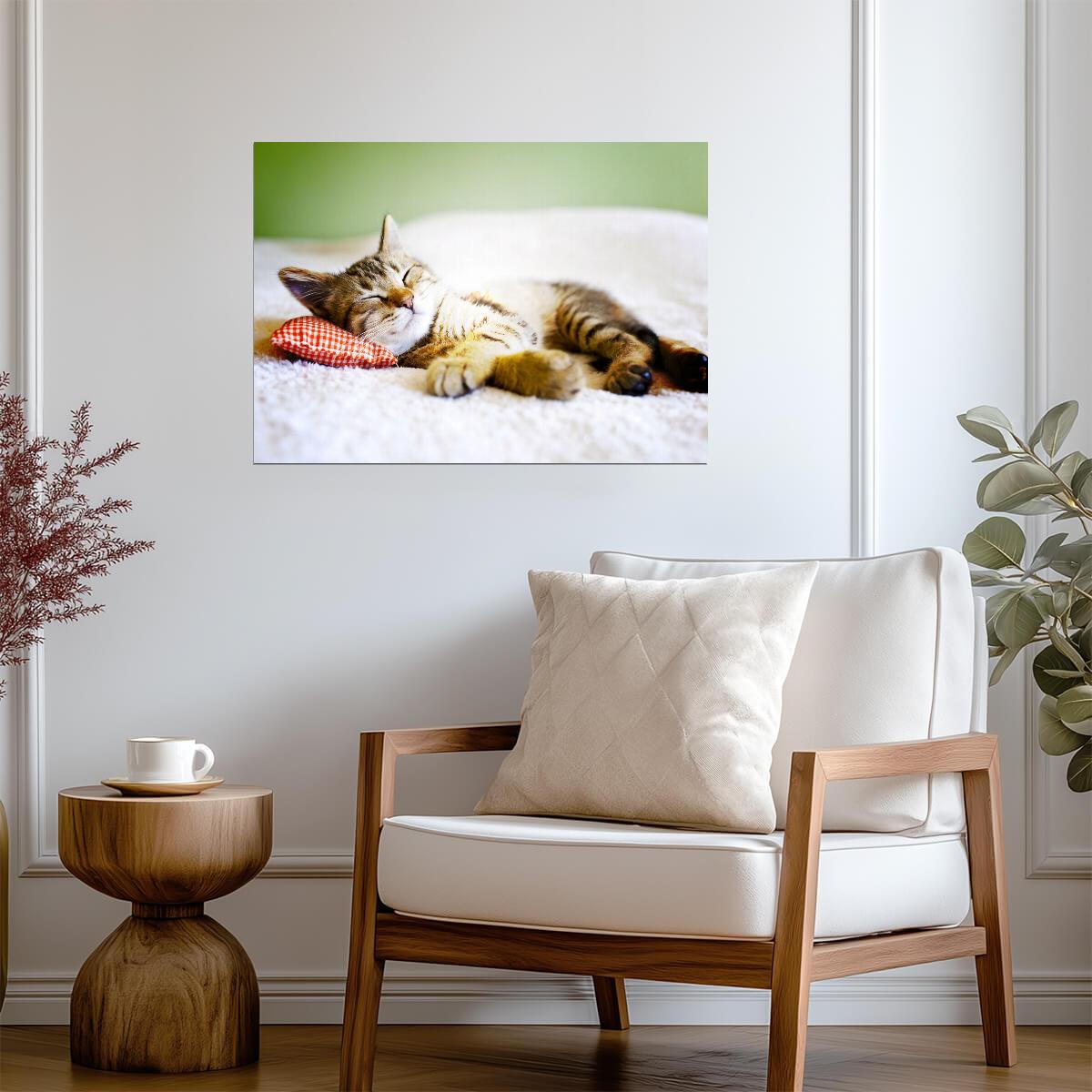 Relaxing Tabby Cat on Bed | Pet Photography Poster | Animal Wall Art - Photography Poster