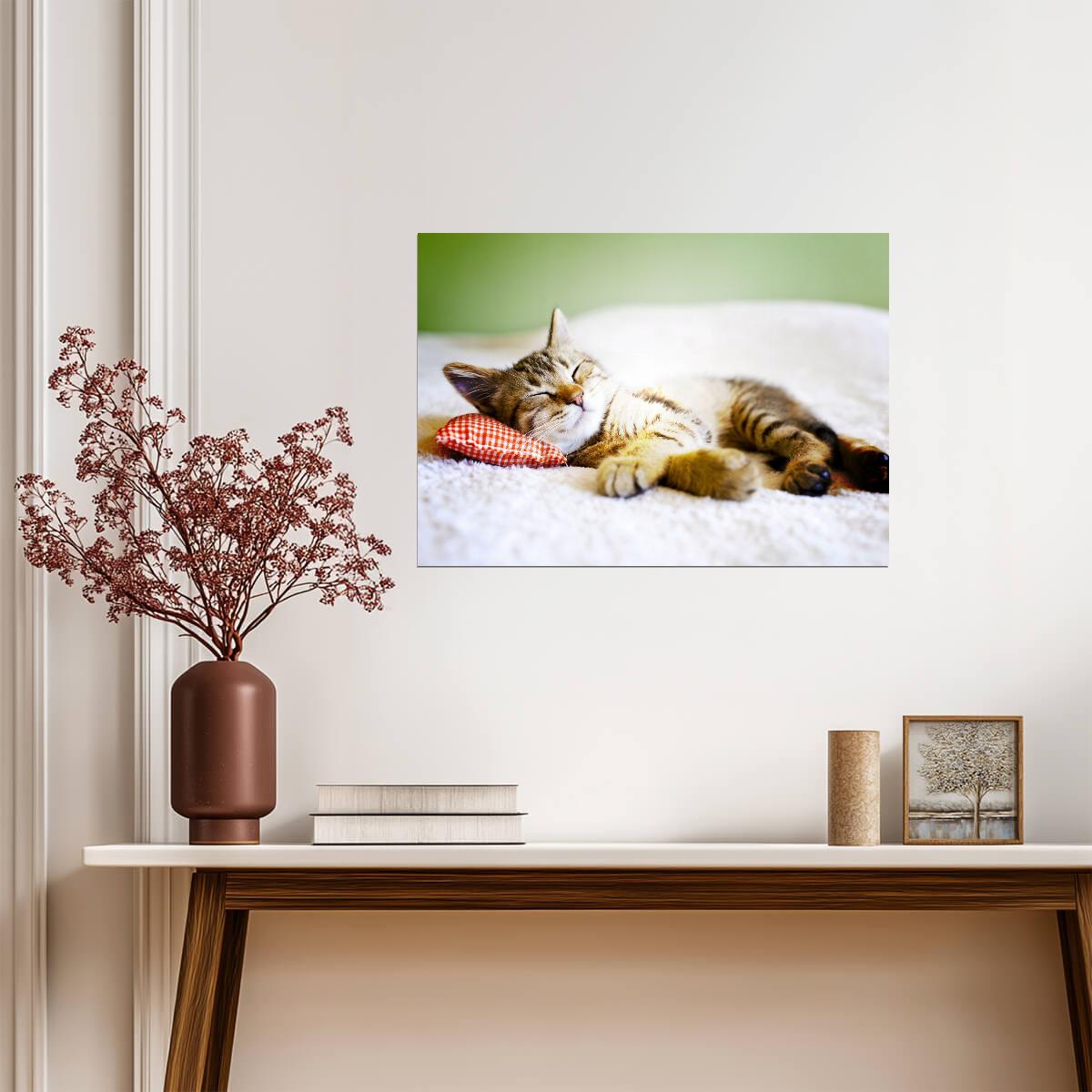 Relaxing Tabby Cat on Bed | Pet Photography Poster | Animal Wall Art - Photography Poster