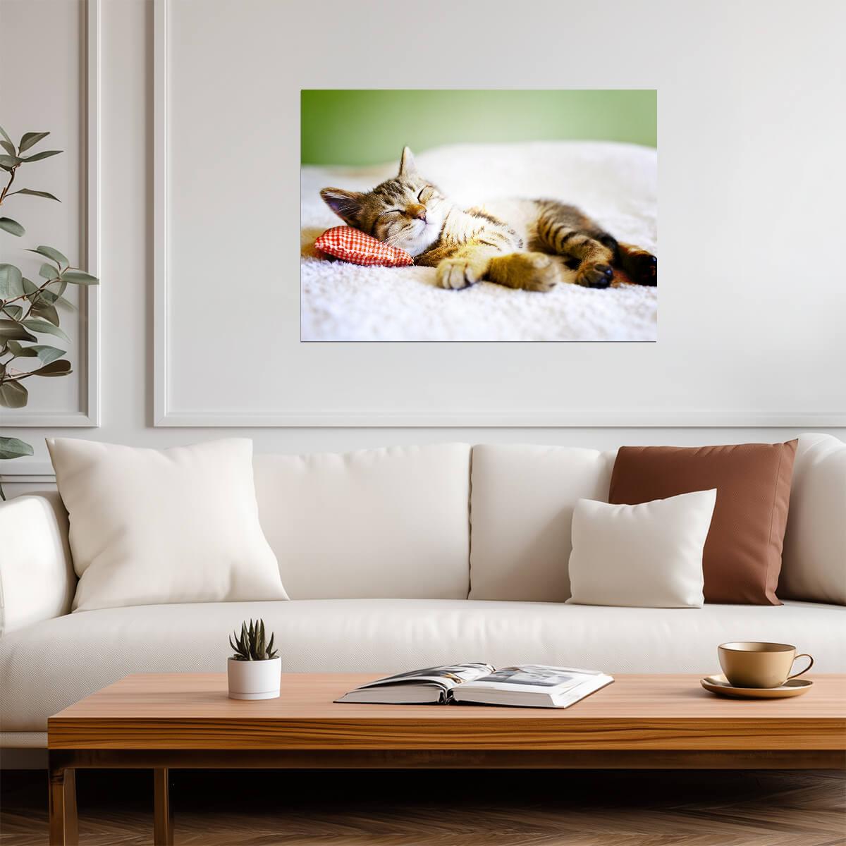 Relaxing Tabby Cat on Bed | Pet Photography Poster | Animal Wall Art - Photography Poster