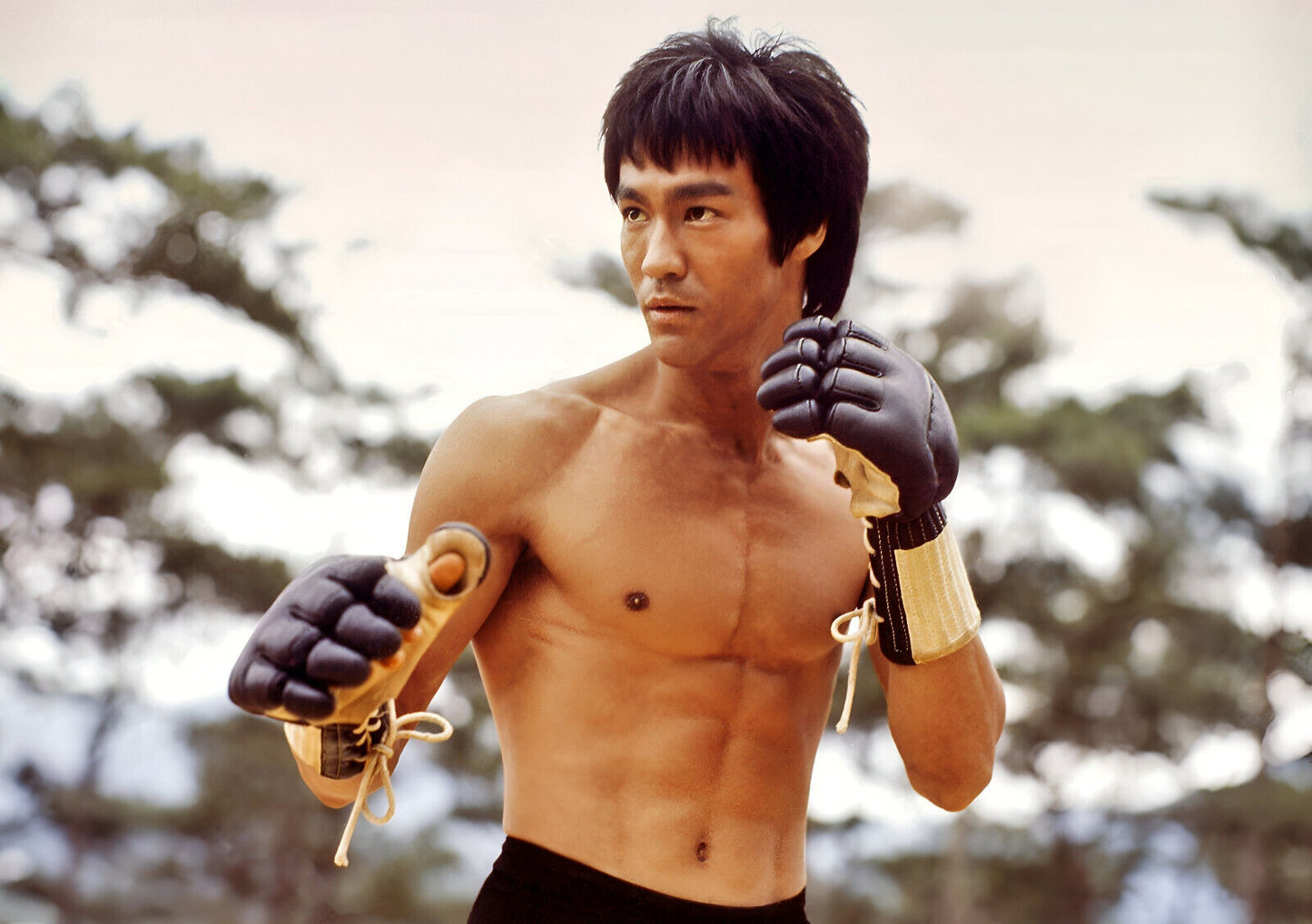 Bruce Lee with Gloves | Martial Arts Movie Poster | Kung Fu Legend Art - Celebrities Poster