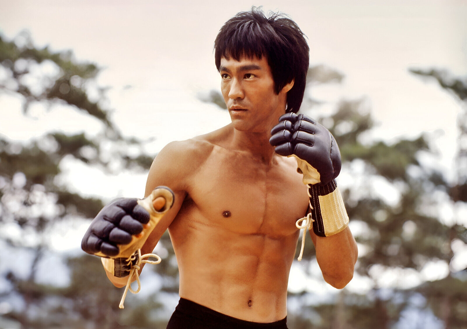 Bruce Lee with Gloves | Martial Arts Movie Poster | Kung Fu Legend Art - Celebrities Poster