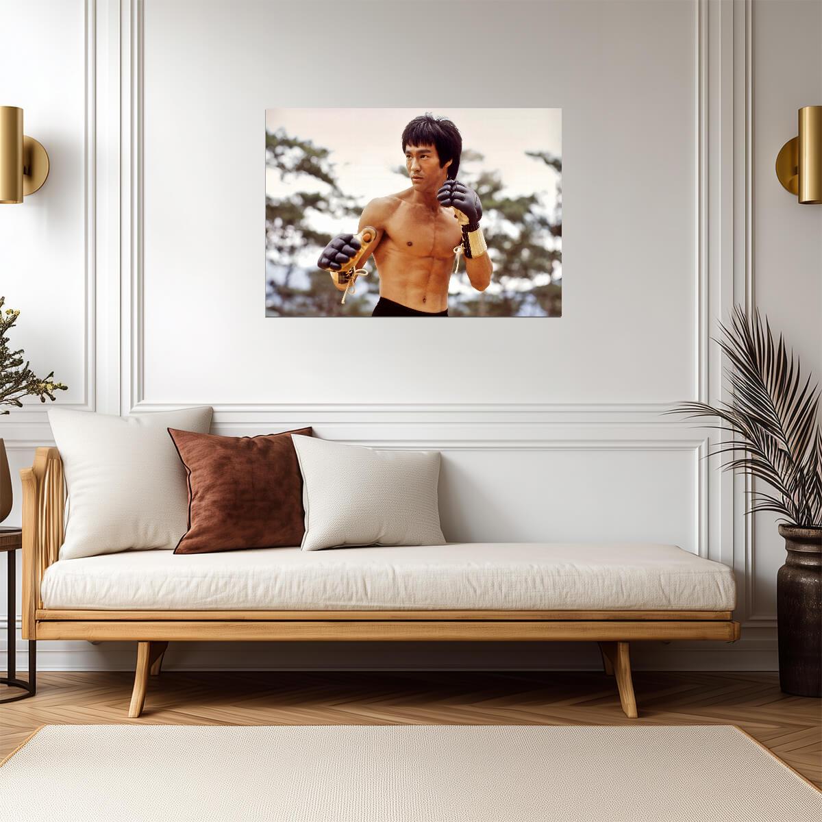 Bruce Lee with Gloves | Martial Arts Movie Poster | Kung Fu Legend Art - Celebrities Poster