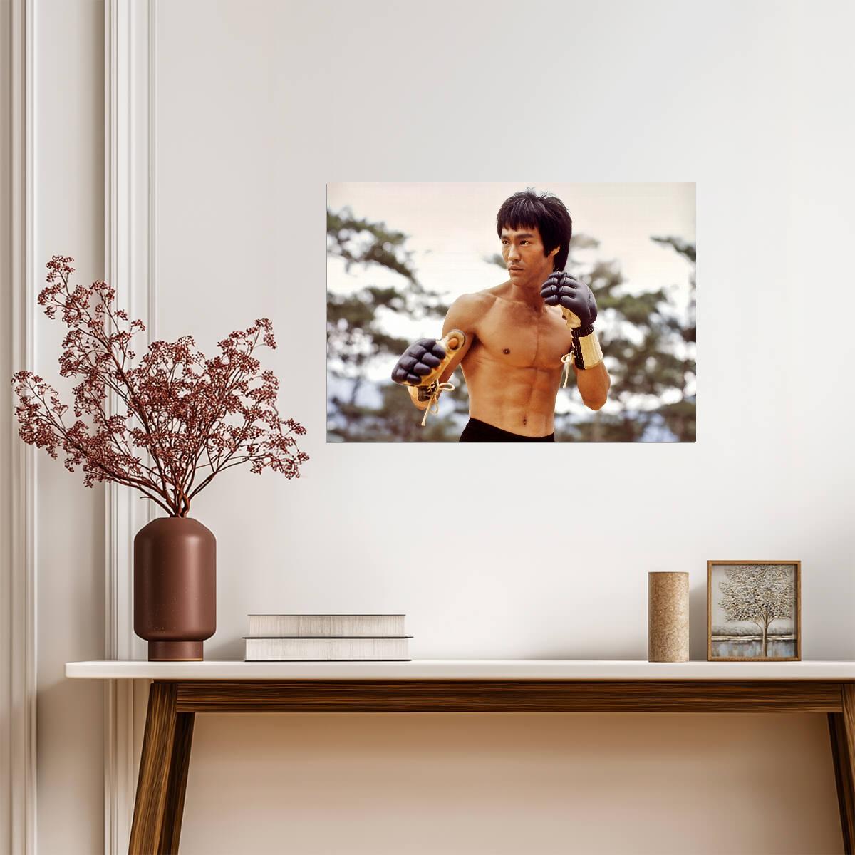 Bruce Lee with Gloves | Martial Arts Movie Poster | Kung Fu Legend Art - Celebrities Poster